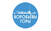 Воробьевы горы